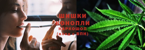 ПСИЛОЦИБИНОВЫЕ ГРИБЫ Алзамай