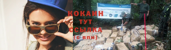 mdpv Корсаков