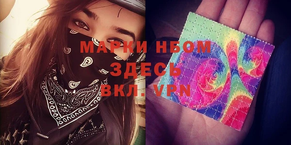 стафф Алексин